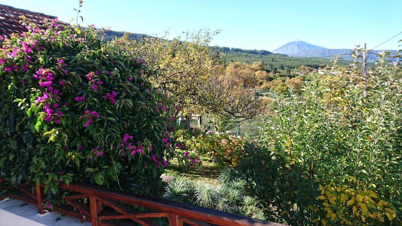 El Pajar De Ines Konuk evi La Orotava Dış mekan fotoğraf