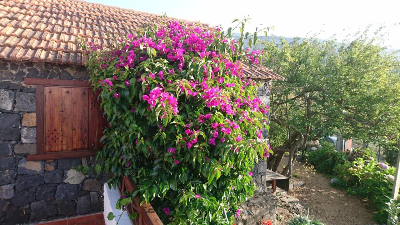 El Pajar De Ines Konuk evi La Orotava Dış mekan fotoğraf
